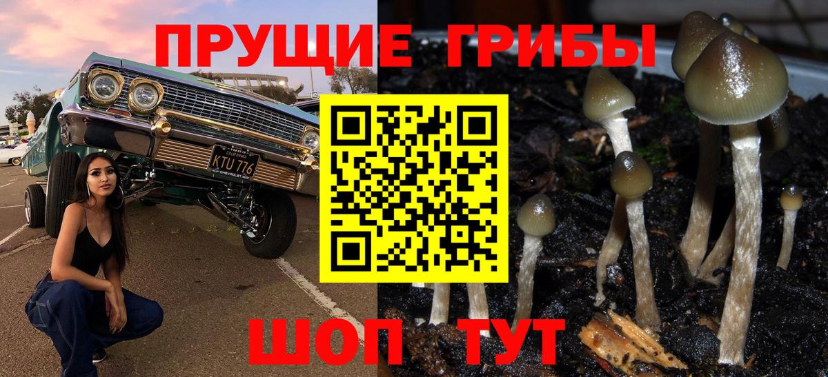Галлюциногенные грибы прущие грибы Ахтубинск