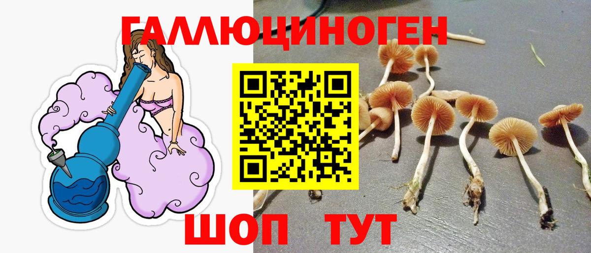 Галлюциногенные грибы GOLDEN TEACHER  Вход с VPN  Ахтубинск  Псилоцибиновые грибы Psilocybine cubensis 
